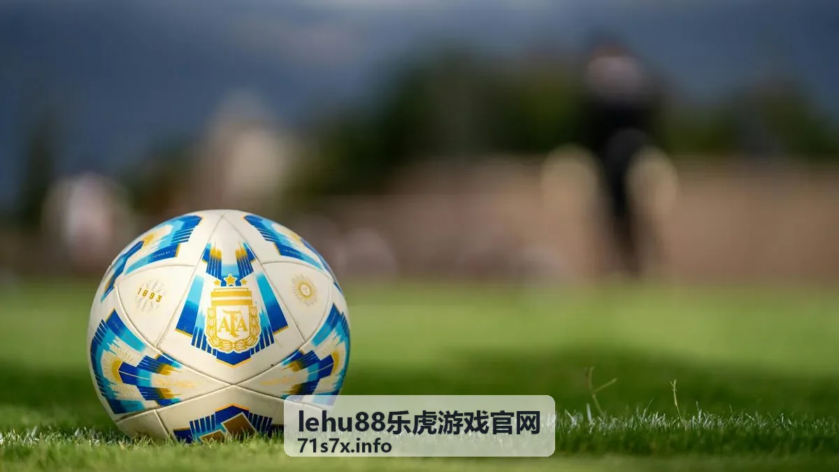 新手护航方案 lehu88乐虎游戏官网